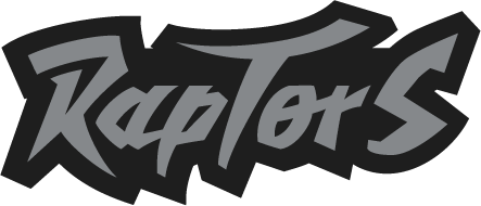 Toronto Raptors 1995-1999 Wordmark Logo iron on heat transfer